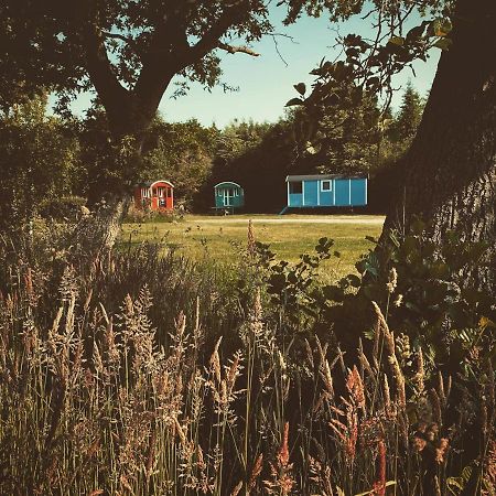 Pipowagens Bij Pannenkoekenrestaurant & Camping De Koppenjan 'Een Uniek Verblijf Met Kinderspeelboerderij' Jubbega-Schurega 외부 사진