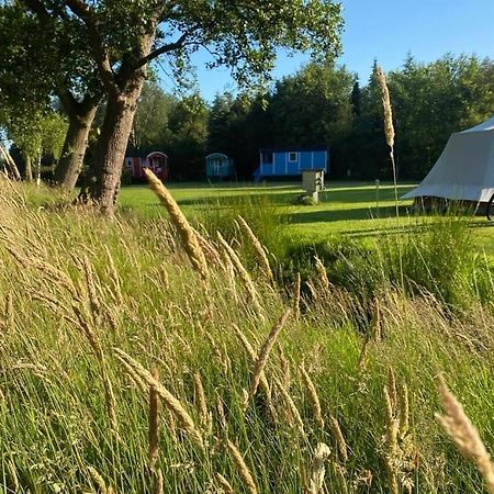 Pipowagens Bij Pannenkoekenrestaurant & Camping De Koppenjan 'Een Uniek Verblijf Met Kinderspeelboerderij' Jubbega-Schurega 외부 사진