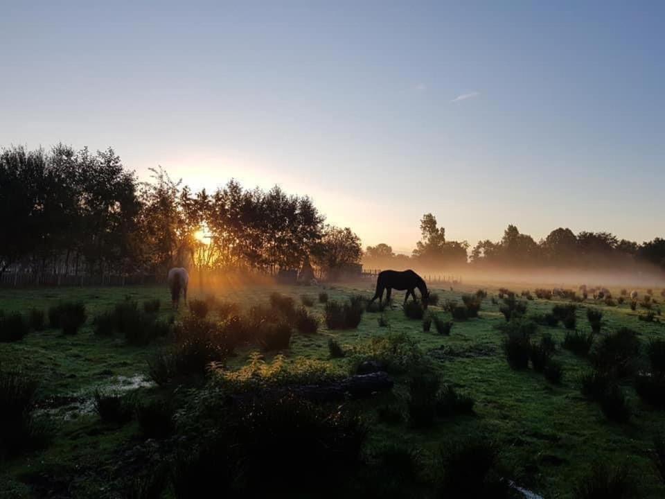 Pipowagens Bij Pannenkoekenrestaurant & Camping De Koppenjan 'Een Uniek Verblijf Met Kinderspeelboerderij' Jubbega-Schurega 외부 사진