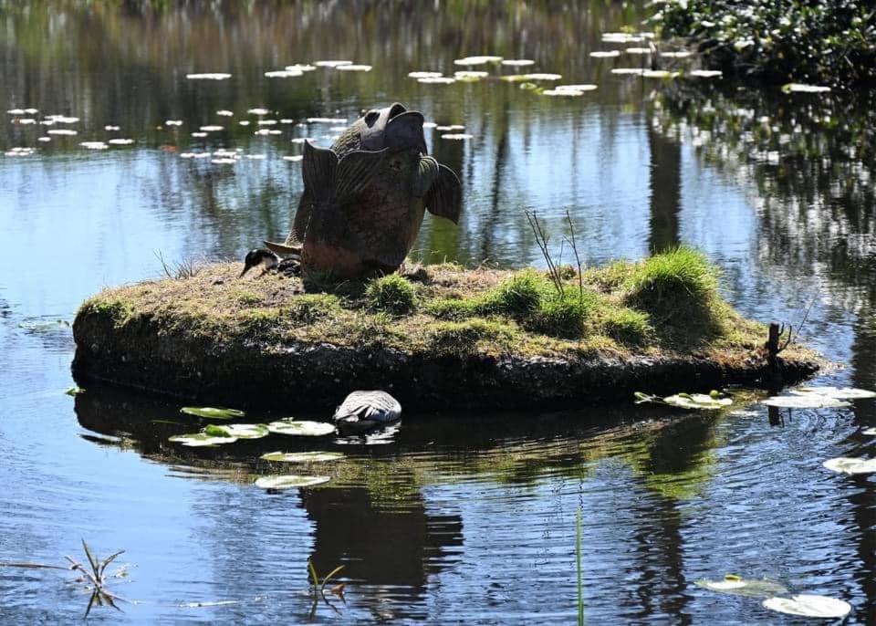 Pipowagens Bij Pannenkoekenrestaurant & Camping De Koppenjan 'Een Uniek Verblijf Met Kinderspeelboerderij' Jubbega-Schurega 외부 사진