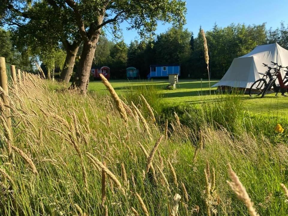 Pipowagens Bij Pannenkoekenrestaurant & Camping De Koppenjan 'Een Uniek Verblijf Met Kinderspeelboerderij' Jubbega-Schurega 외부 사진